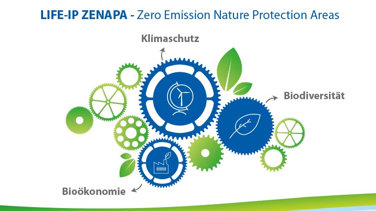 ZENAPA Cycle in our ecosystem to protect the climate and biodiversity