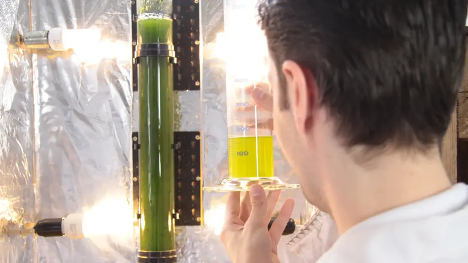 Bio- und Prozess-Ingenieurwesen/Verfahrenstechnik