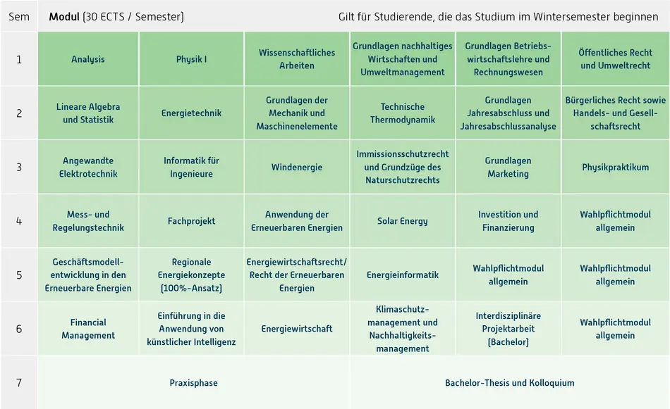 Grafik Curriculum, Inhalt unter Downloads, Fachprüfungsordnung