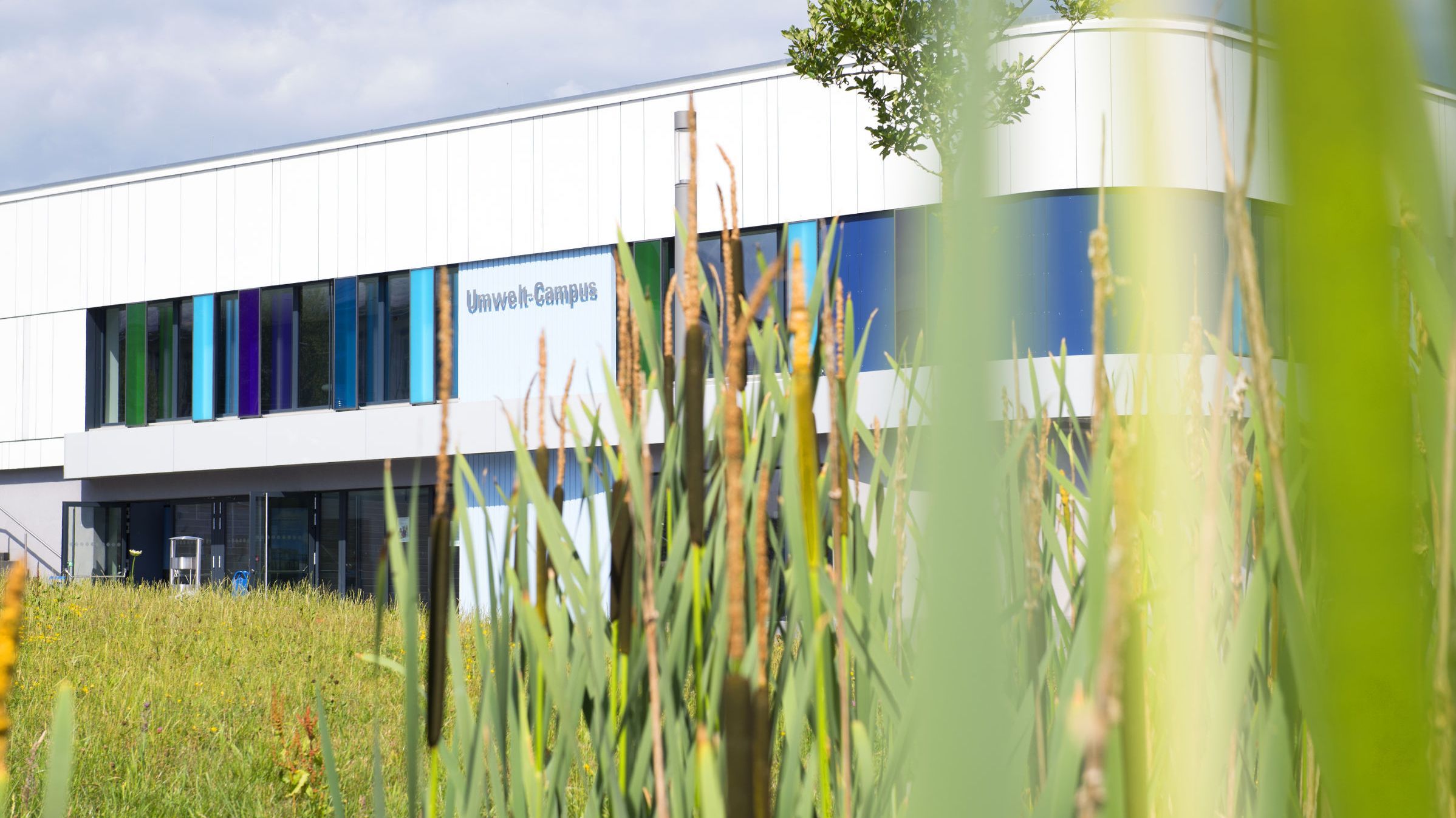 Motivationsbild Kommunikationsgebäude Umwelt-Campus mit Schilf im Vordergrund