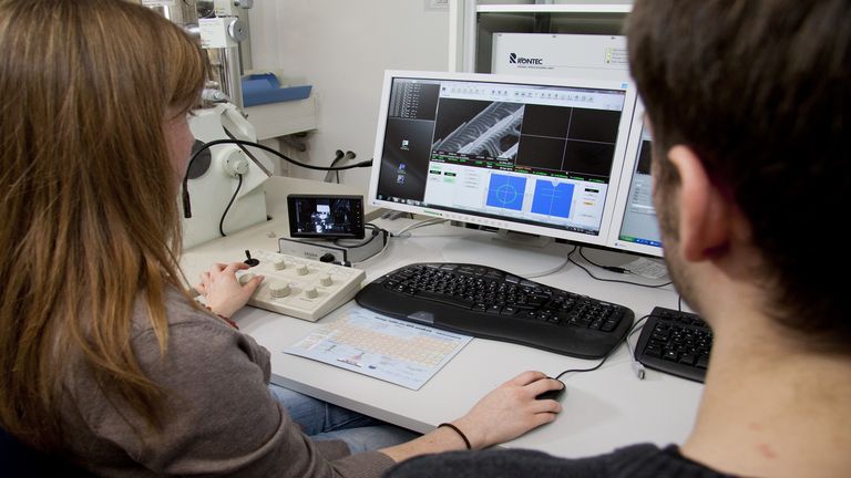 Titelfoto Studiengangsseite Angewandte Naturwissenschaft und Technik (Bachelor)