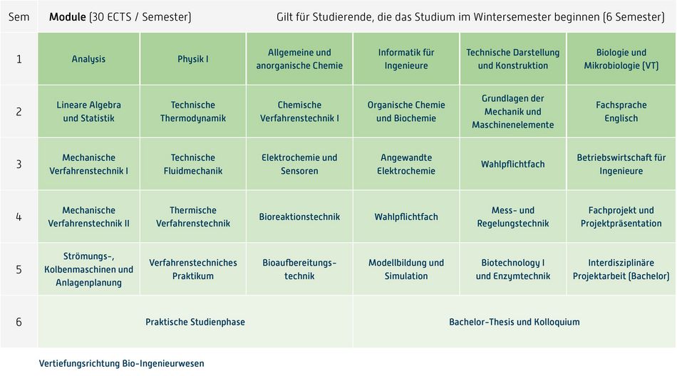Abbildung des Studienverlaufplans aus dem Curriculum des Studiengangs.