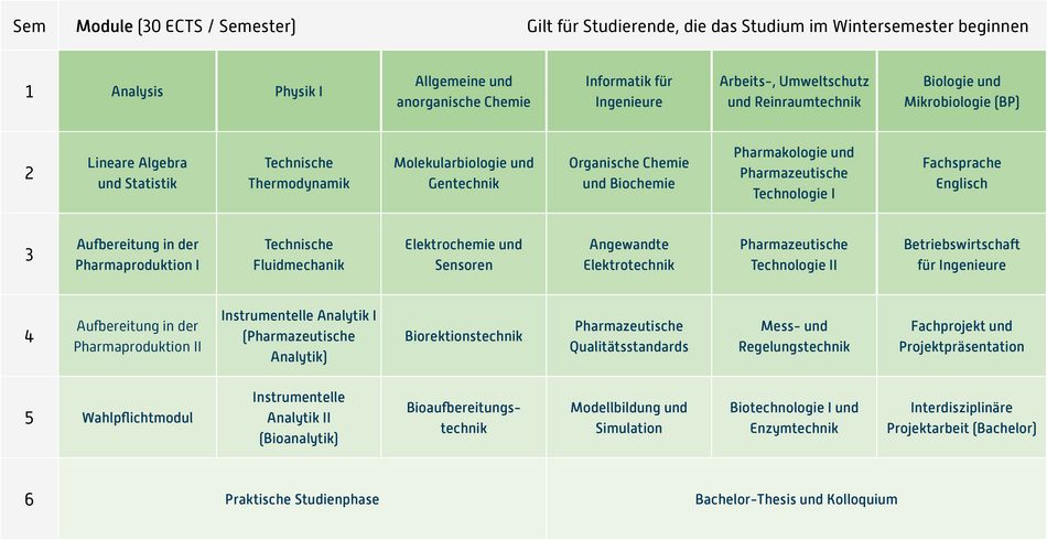 Abbildung des Studienverlaufplans aus dem Curriculum des Studiengangs.