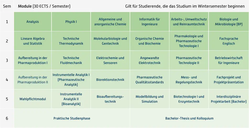 Abbildung des Studienverlaufplans aus dem Curriculum des Studiengangs.