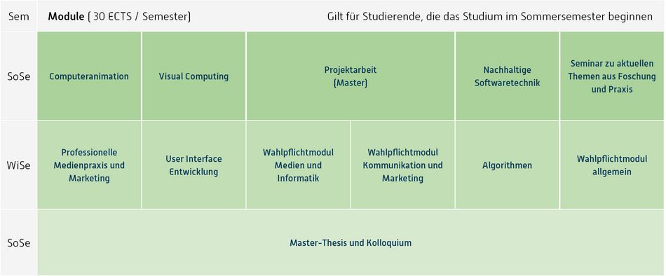 Abbildung des Studienverlaufplans aus dem Curriculum des Studiengangs.