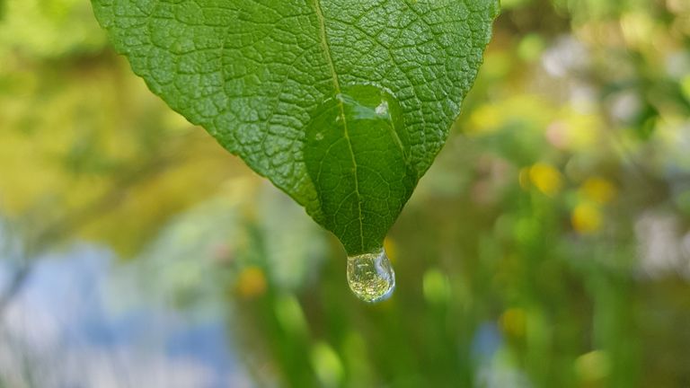 Continuing Education