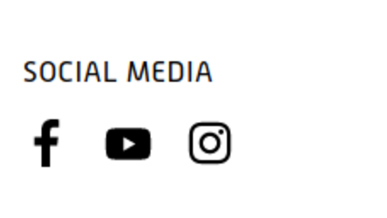 Inhaltselement Social Media