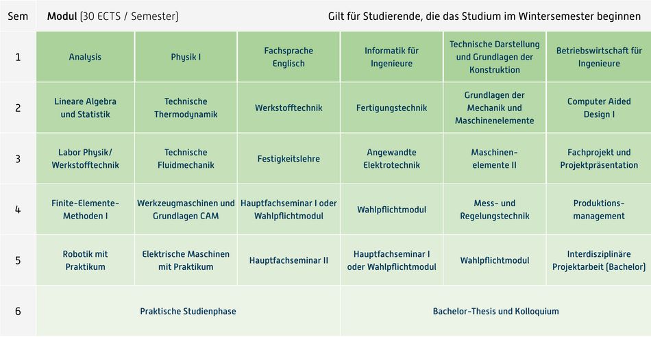 Abbildung des Studienverlaufplans aus dem Curriculum des Studiengangs.