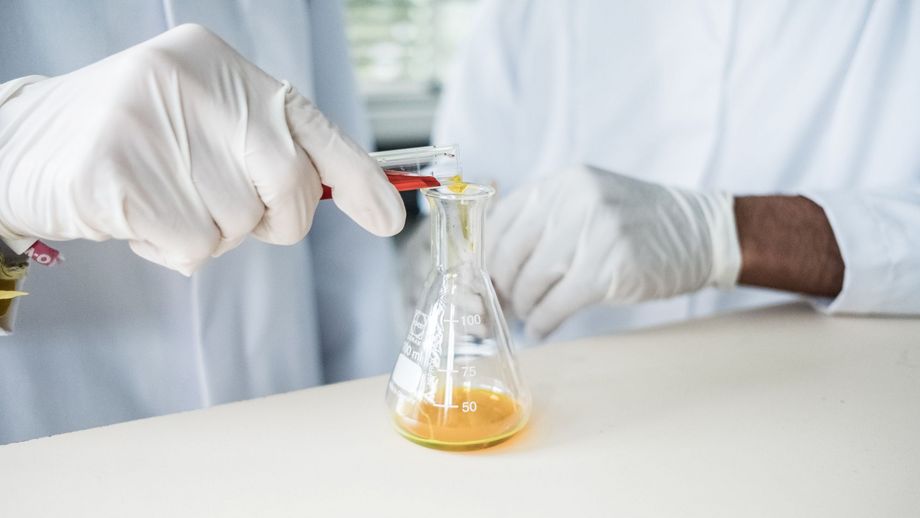 Hochschule Trier veröffentlicht Forschungsbericht 2023/24