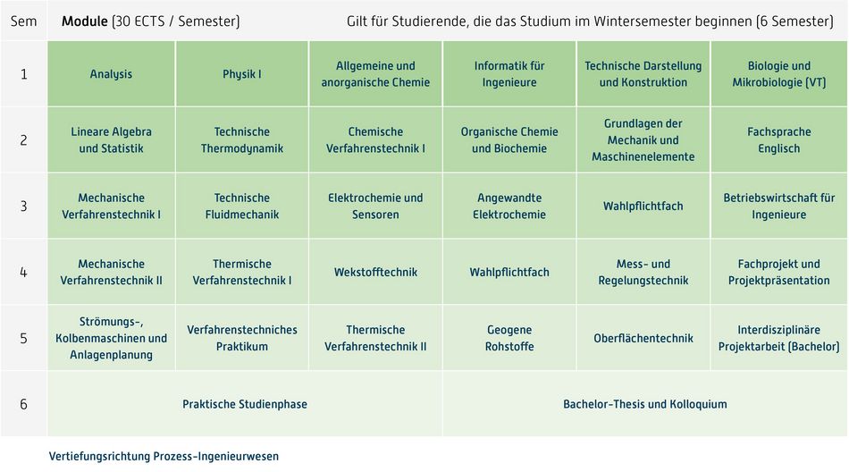 Abbildung des Studienverlaufplans aus dem Curriculum des Studiengangs.
