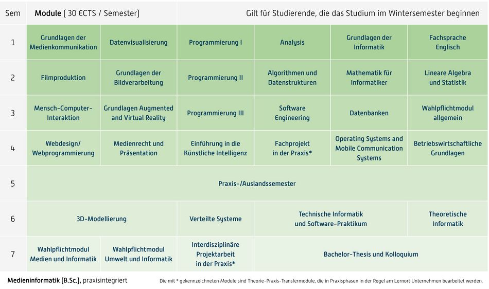 Abbildung des Studienverlaufplans aus dem Curriculum des Studiengangs.