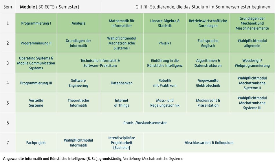 Abbildung des Studienverlaufplans aus dem Curriculum des Studiengangs.