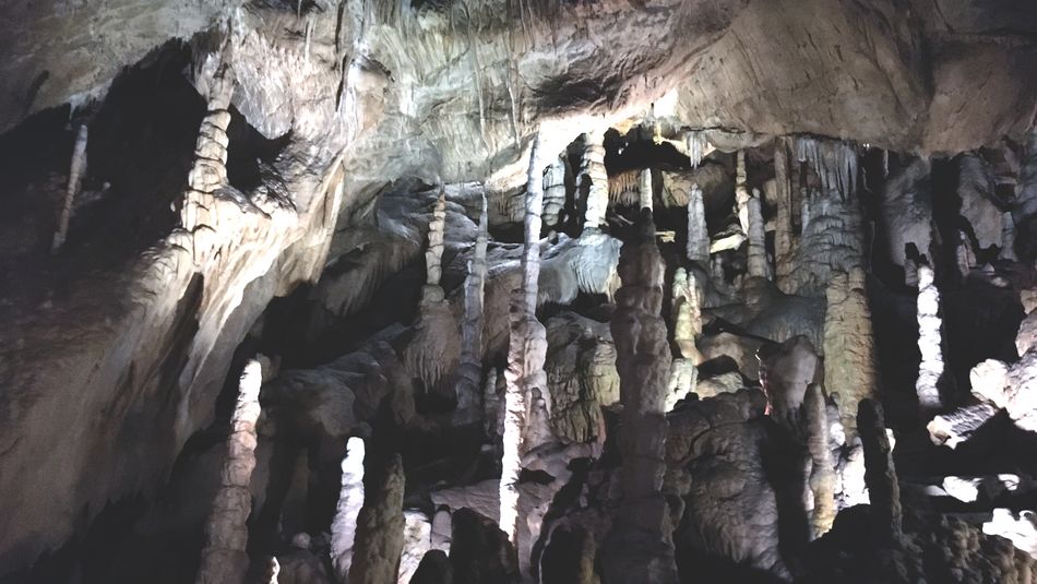 Dripstone cave - Terra Incognita