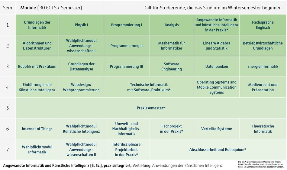 Abbildung des Studienverlaufplans aus dem Curriculum des Studiengangs.