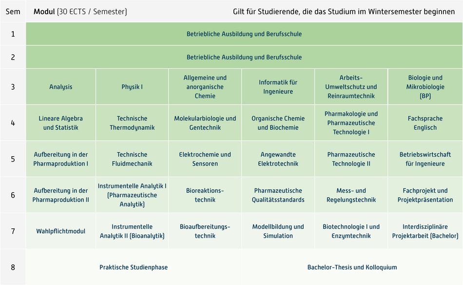 Abbildung des Studienverlaufplans aus dem Curriculum des Studiengangs.