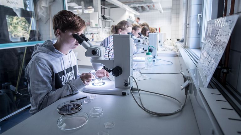 Person schaut in ein Lichtmikroskop