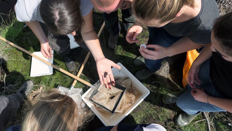Interdisziplinärer Umweltschutz