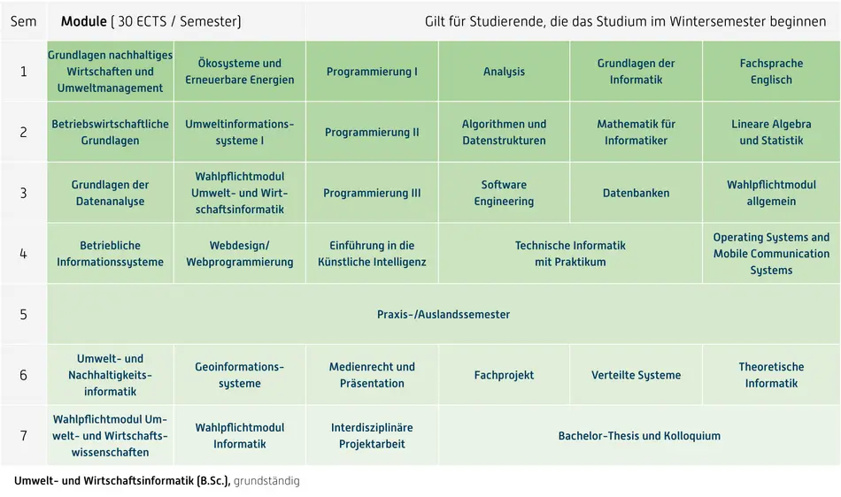 Abbildung des Studienverlaufplans aus dem Curriculum des Studiengangs.