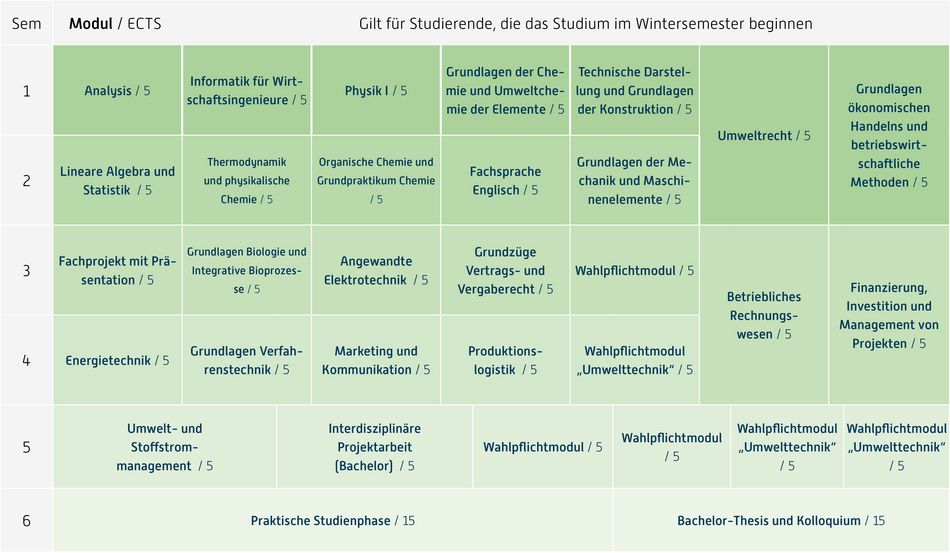 Abbildung des Studienverlaufplans aus dem Curriculum des Studiengangs.