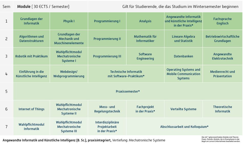 Abbildung des Studienverlaufplans aus dem Curriculum des Studiengangs.