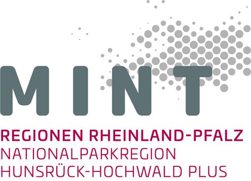 „MINT-Konferenz“ – Fortbildung und Netzwerktreffen bringt Akteure zusammen 
