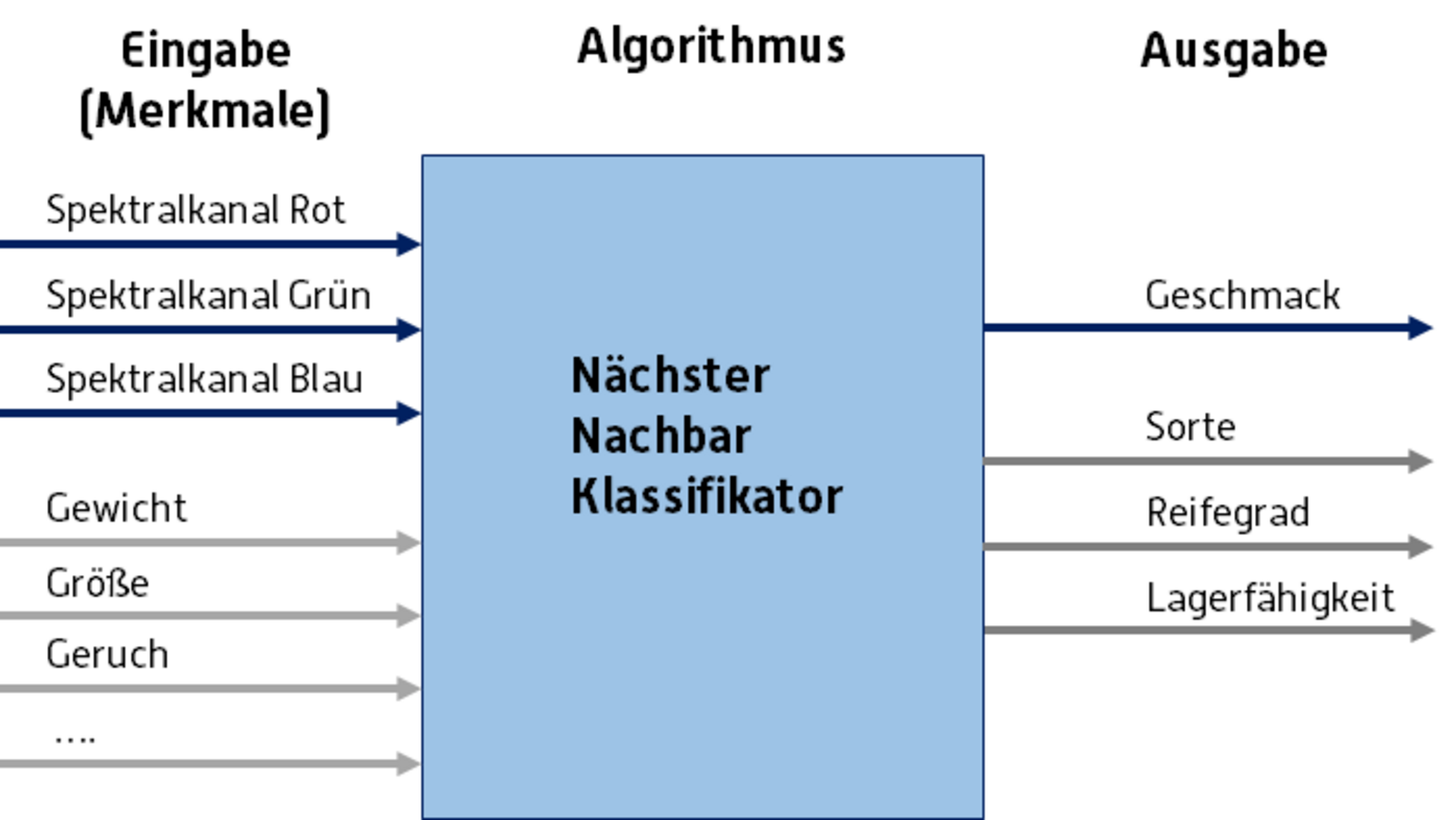 Algorithmus