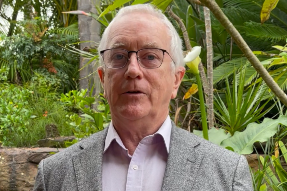 Prof. Dr. Steve Keen