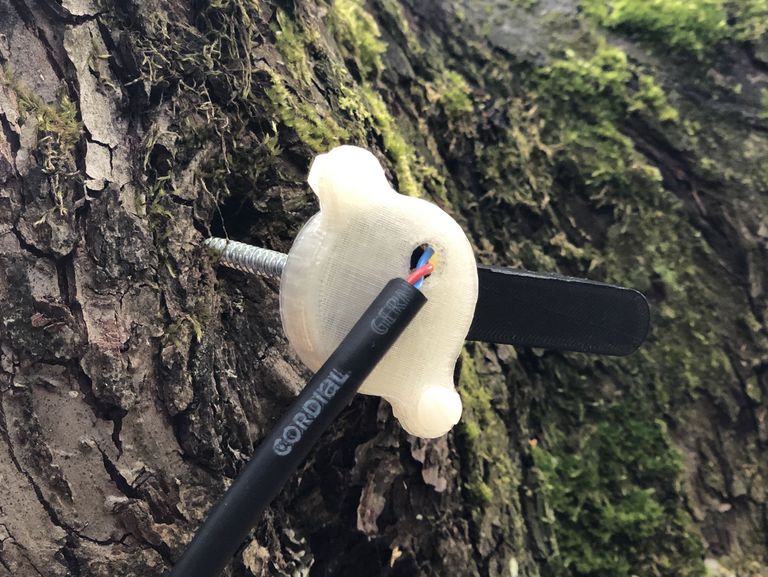 Sensor Borkenkäfer im Baum