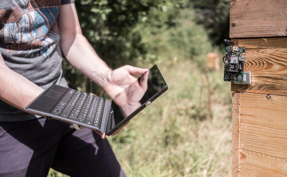 Digitale Messwerterfassung am Bienenstock ( Foto: Jannik Scheer)