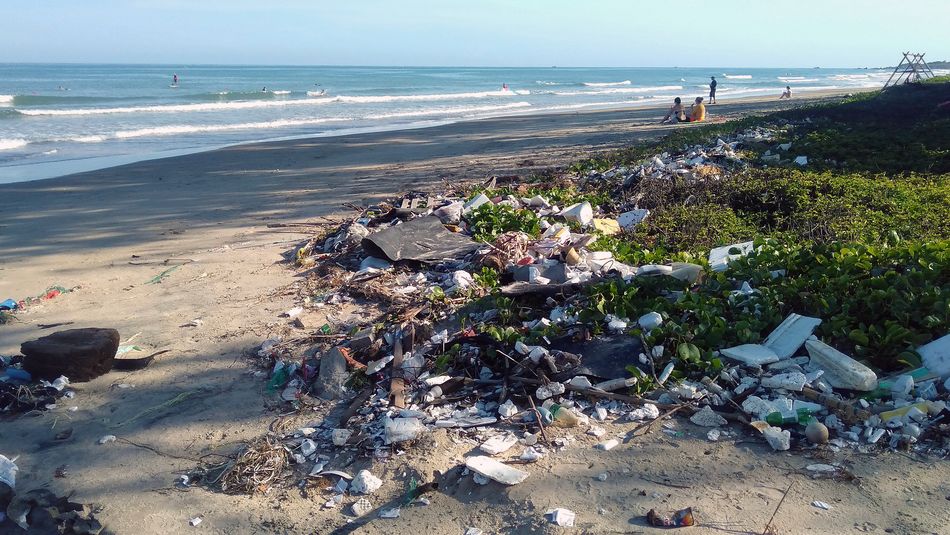  Pollution of the ecosystem - plastic on the beach