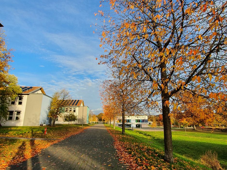 UCB in autumn