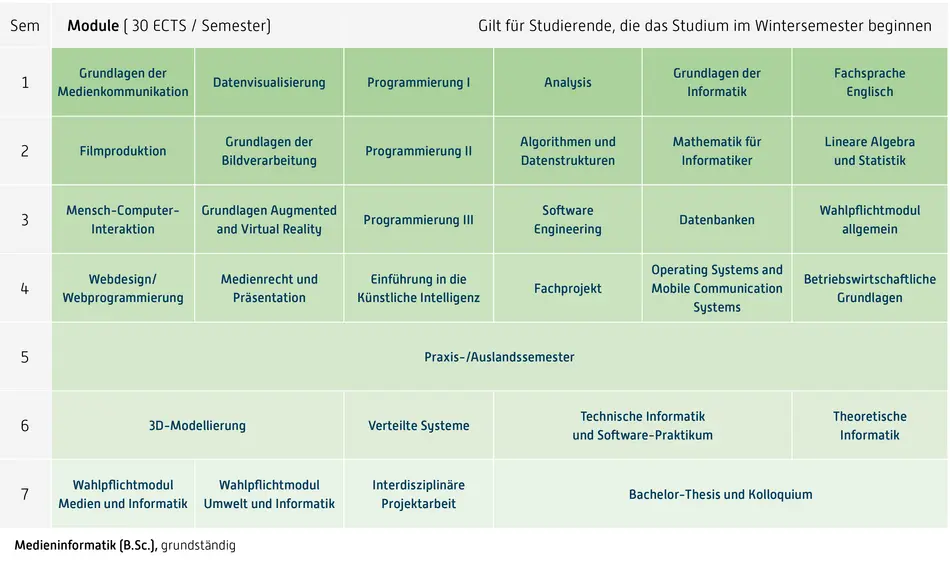 Abbildung des Studienverlaufplans aus dem Curriculum des Studiengangs.
