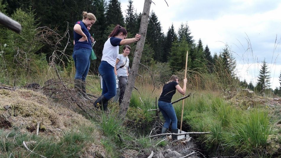 SchülerInnen im Nationalpark