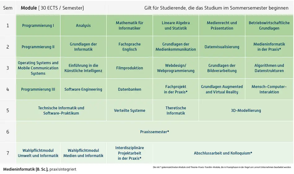 Abbildung des Studienverlaufplans aus dem Curriculum des Studiengangs.