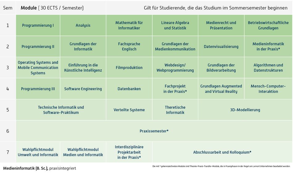 Abbildung des Studienverlaufplans aus dem Curriculum des Studiengangs.