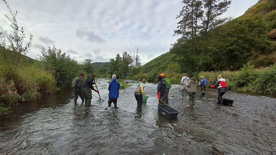 Aufstellung eines E-Befischungsteams zur Erhebung des Fischbestandes in der Ahr.
