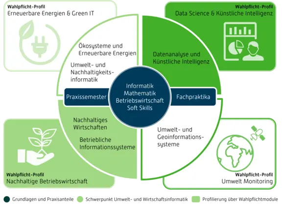 Darstellung Vertiefungsrichtungen im Wahlpflichtbereich