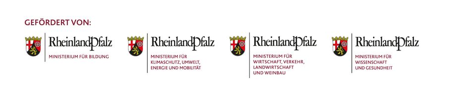 Logos der fördernden Ministerien