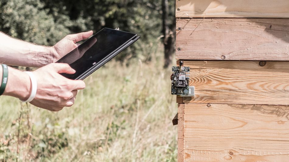 Internet der Dinge - Pilot, Bienestock mit Tablet