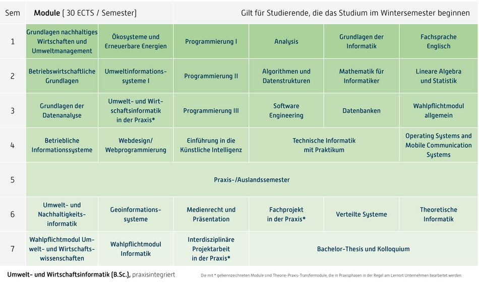 Abbildung des Studienverlaufplans aus dem Curriculum des Studiengangs.